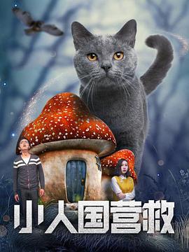 律师全系