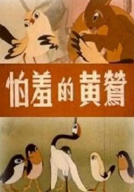 顾恩婷