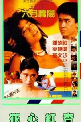 玖玖爱