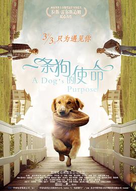 蜜桃红桃视频