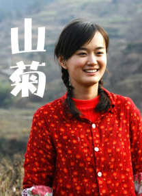 国产一区二区三区不卡免费观看