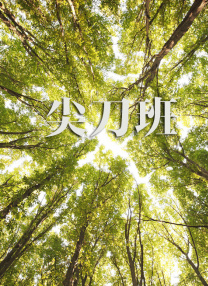 午夜大尺度视频