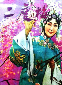 女大学生实际政事