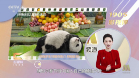 2021国产在线视频